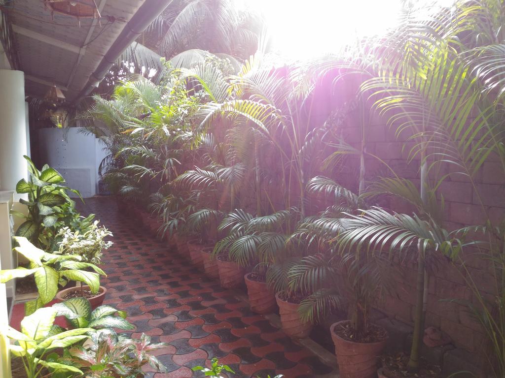 Alba Rooms Palolem Rosebuds Bagian luar foto